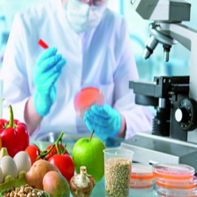 INDUSTRIA ALIMENTARIA 75.jpg