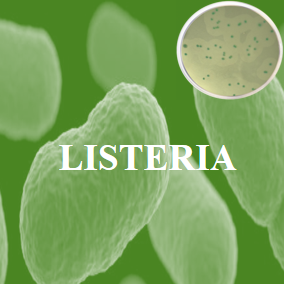LISTERIA 75.png