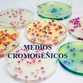 medios cromogenicos 75.jpg